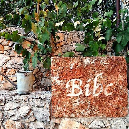 Bibc Wine & Holiday Triest Exterior foto